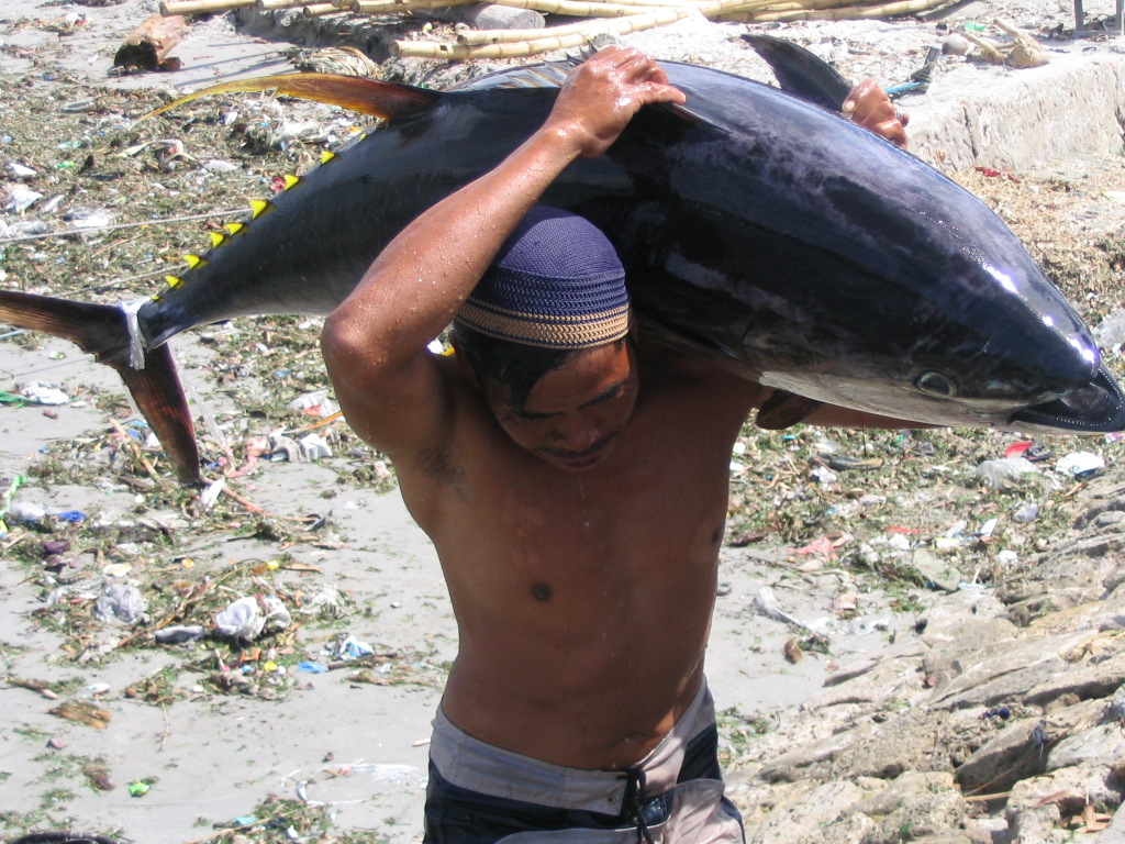 Balanipa: Fajar Baru Kekuatan Ekonomi Maritim dan Agraris di Sulawesi Barat