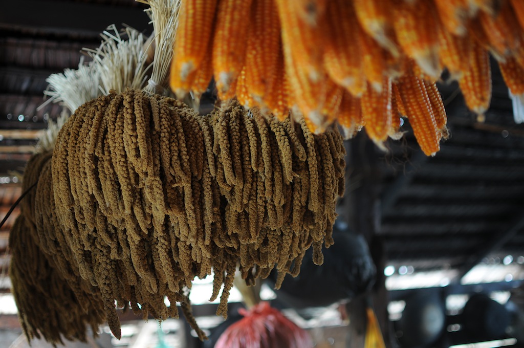 Profil dan Potensi Kewilayahan Calon Kabupaten Balanipa: Menuju Kemandirian Ekonomi dan Kedaulatan Budaya