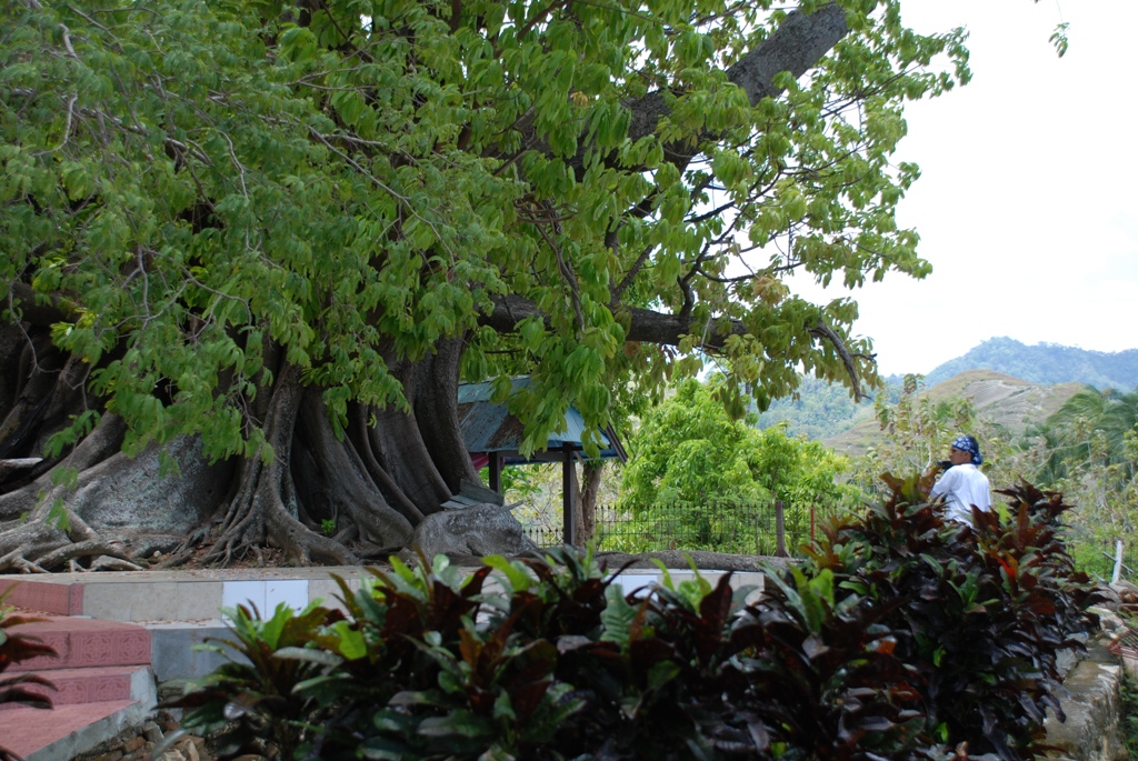 Keunikan Balanipa: Kerajaan Berpraktik Republik (Kepemimpinan Tercipta dari Kehendak Adat melalui Kuasa Rakyat)